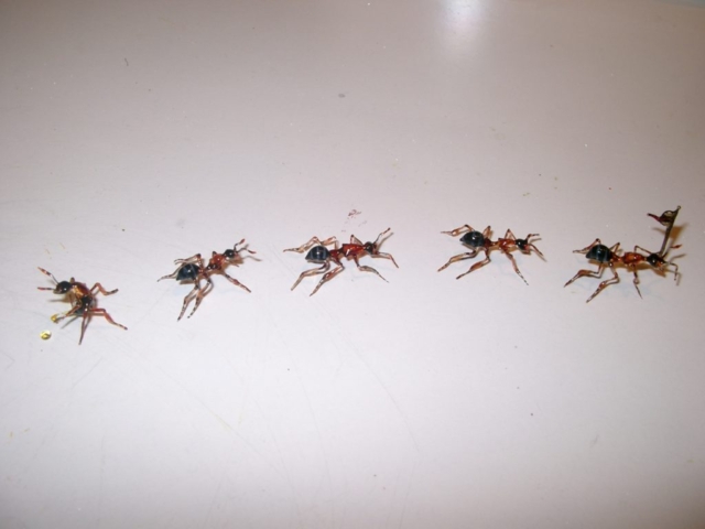 GlassArt Atelier Tobler